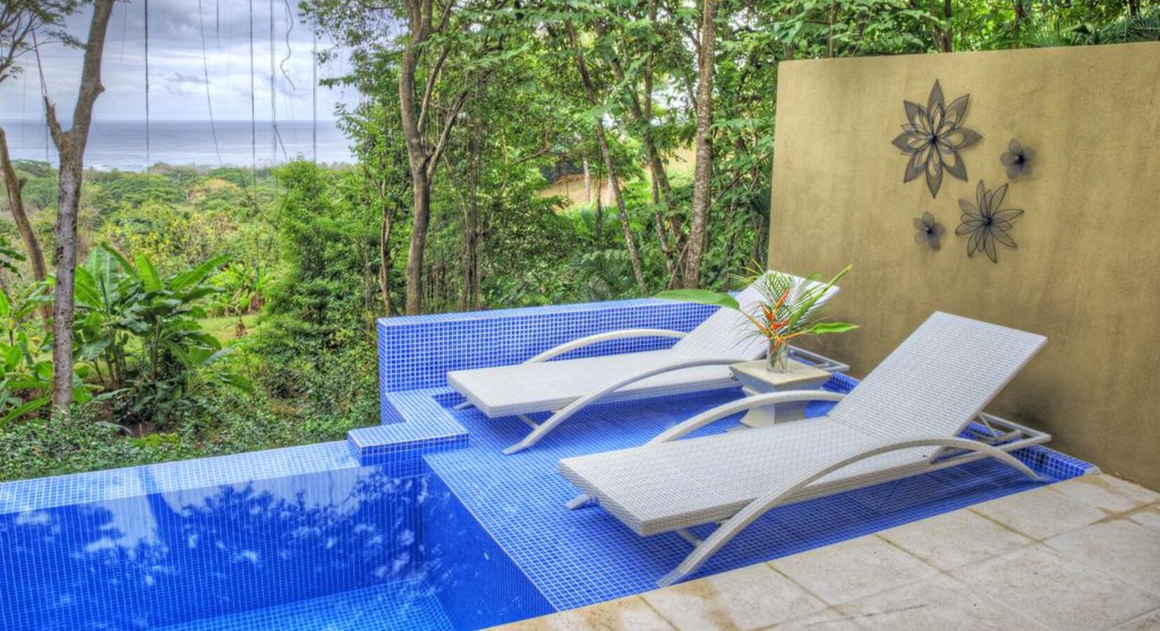 Private Plunge Pool