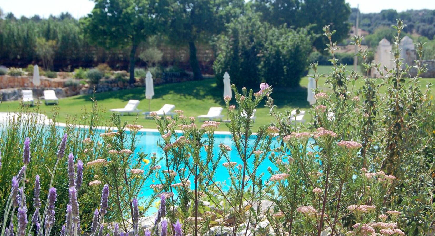 Gardens and pool