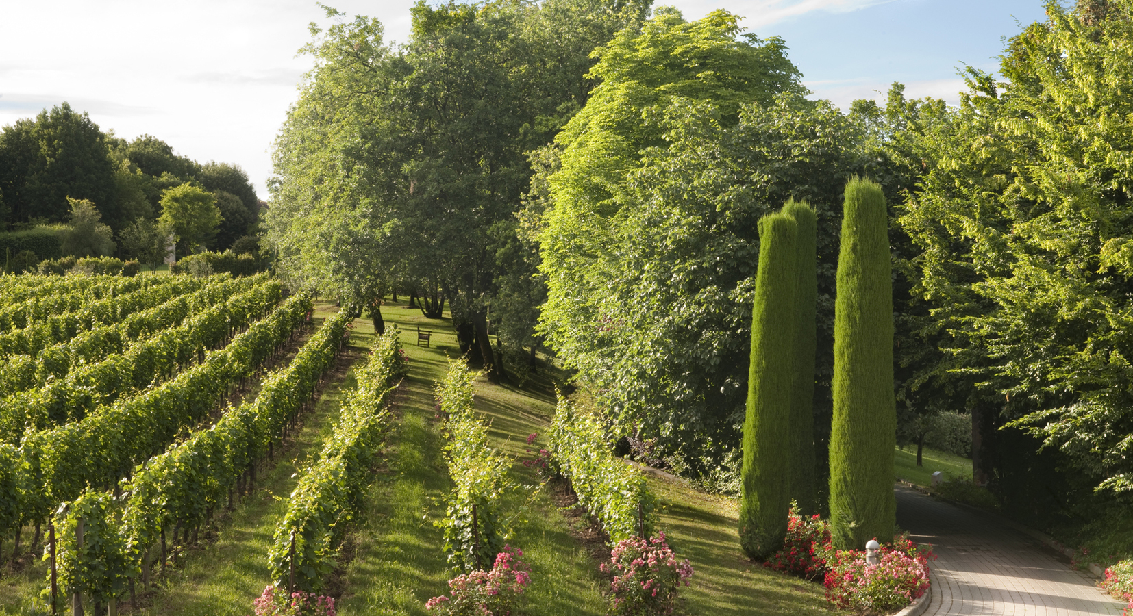 hotel's garden and vineyard