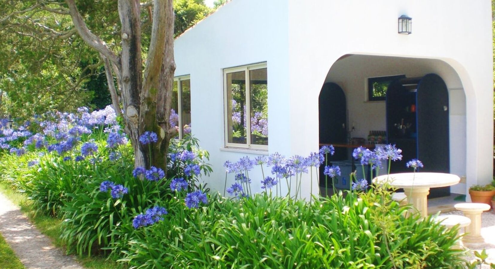 Patio and garden detail