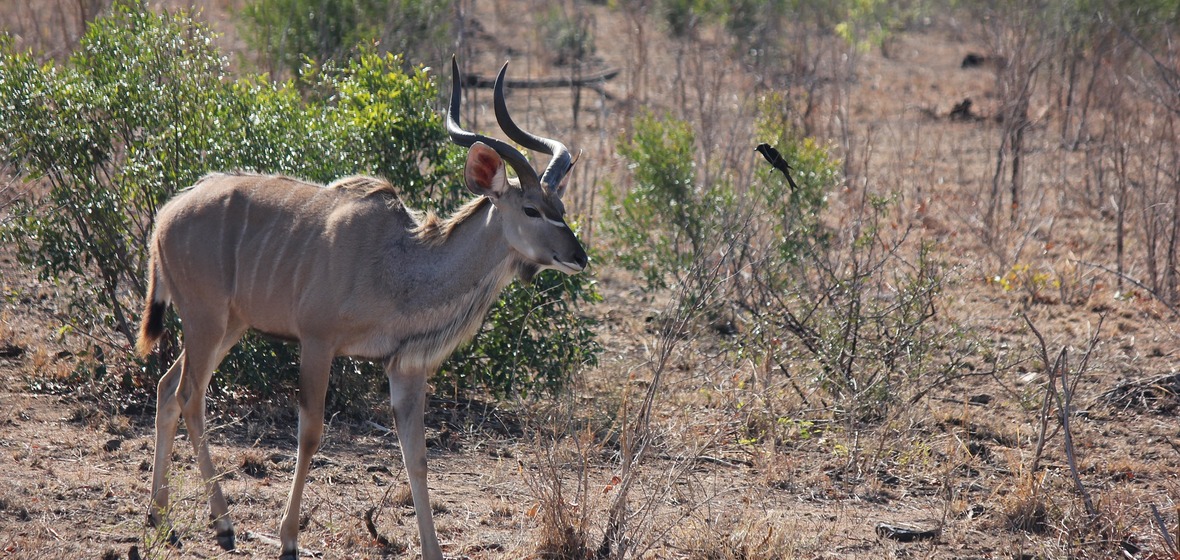 Photo of Mpumalanga