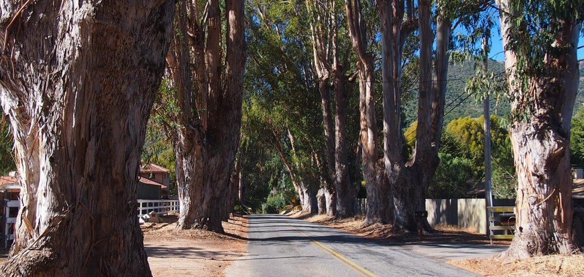 Foto von Carmel Valley