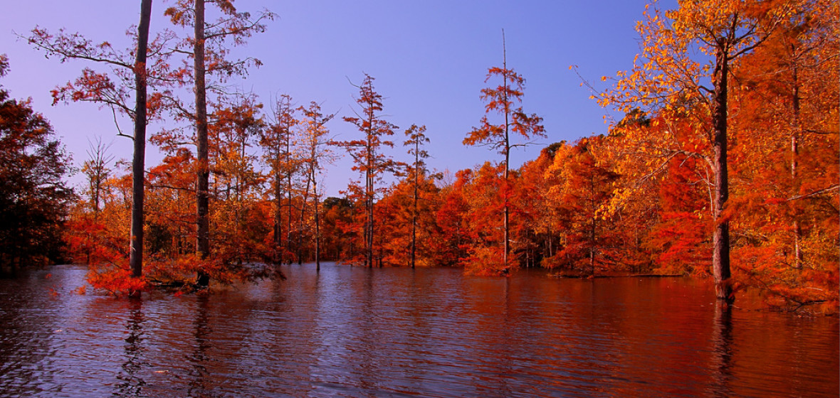 Photo de Louisiane