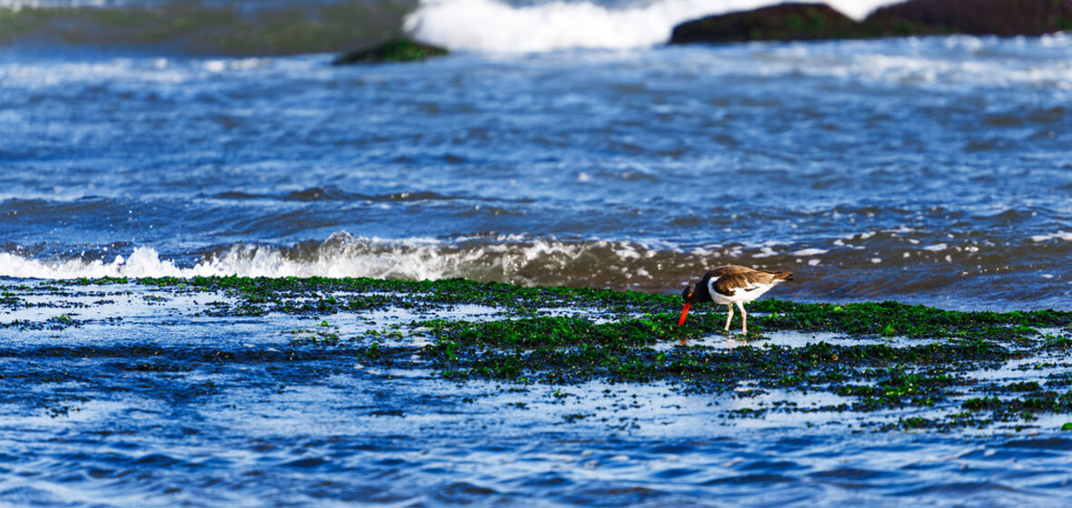 Foto von José Ignacio