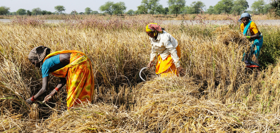 Photo de Raipur