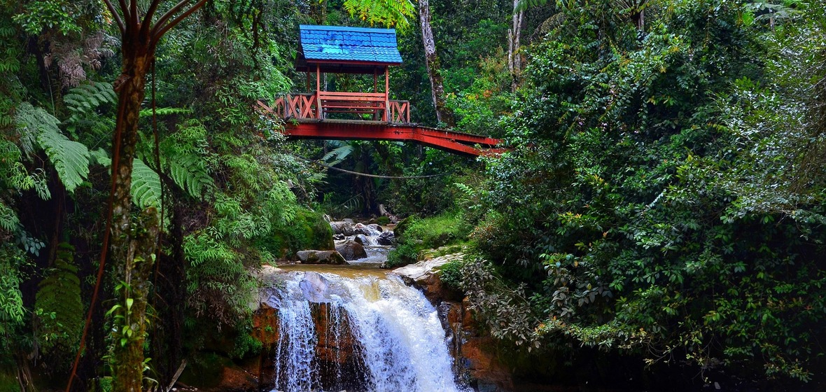 Photo of Cameron Highlands