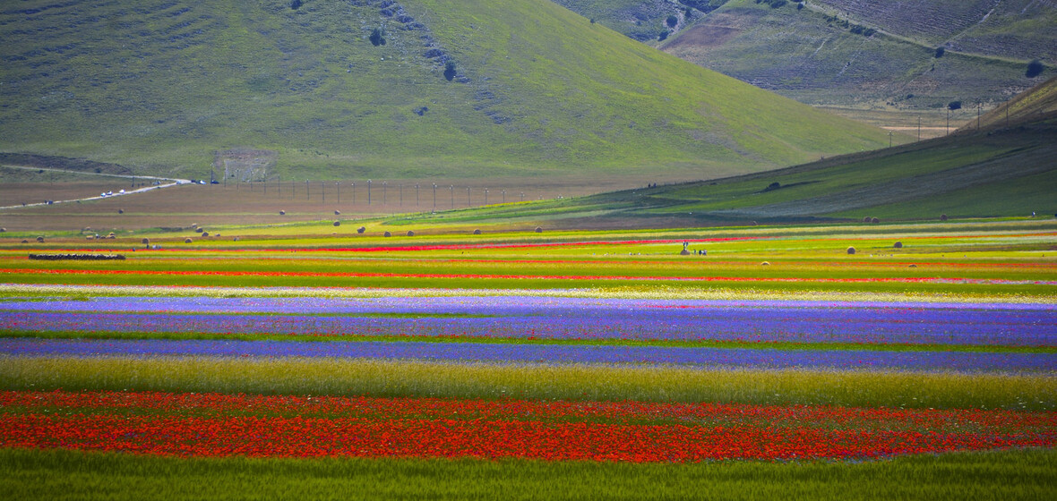 Photo of Umbria