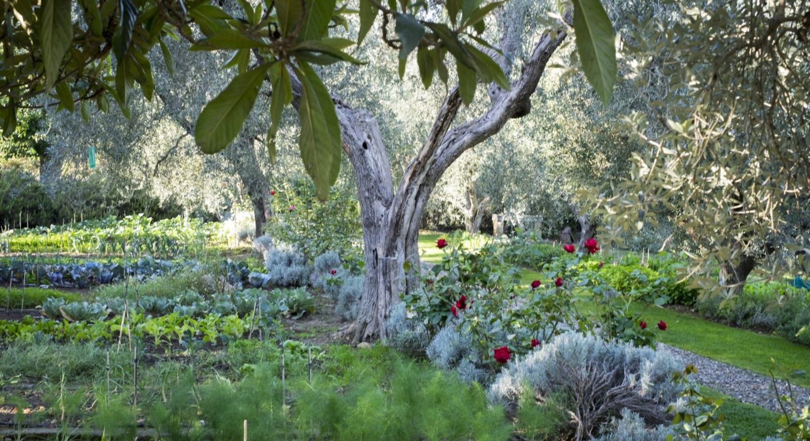 Castello di Vicarello Vegetable Garden