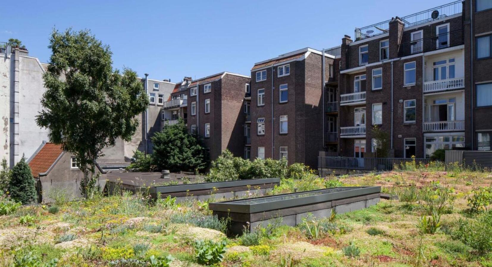 Green Roof Terrace