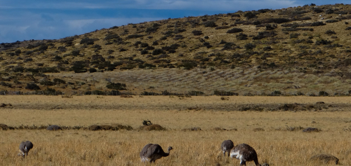 Photo of Torres del Paine