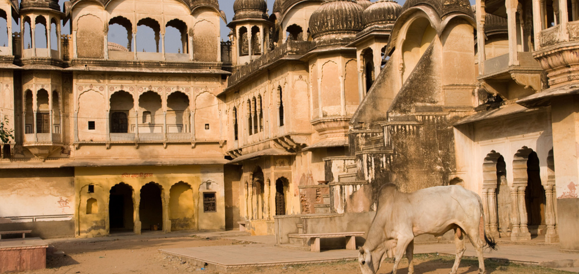 Photo of Shekhawati