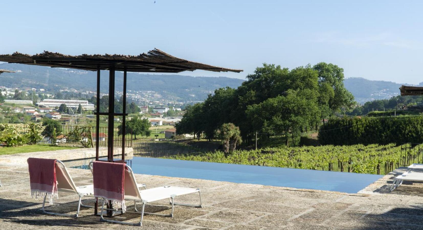 Pool and vineyard view