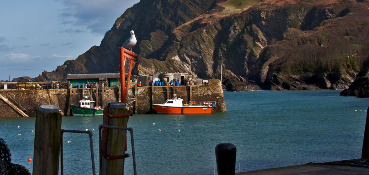 Foto von Ilfracombe