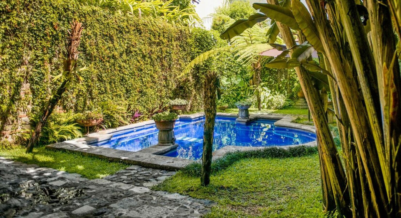 Garden and pool