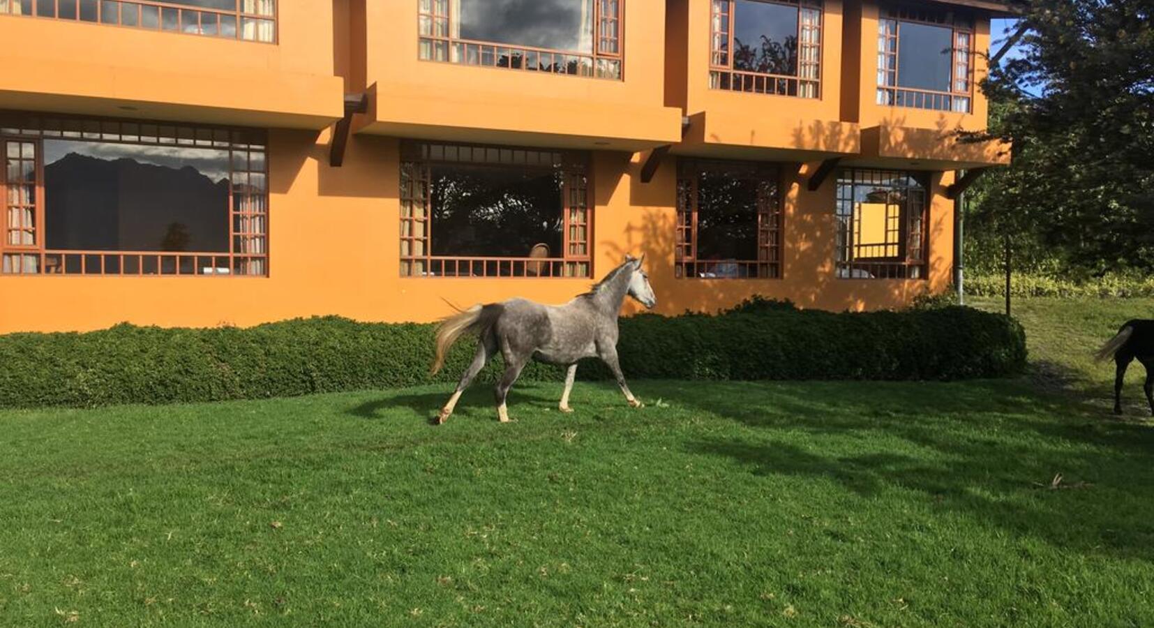 Photo of Hacienda La Alegria