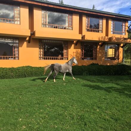 Hacienda La Alegria 