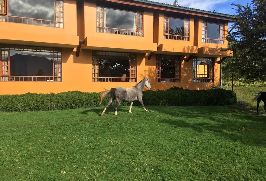 Hacienda La Alegria