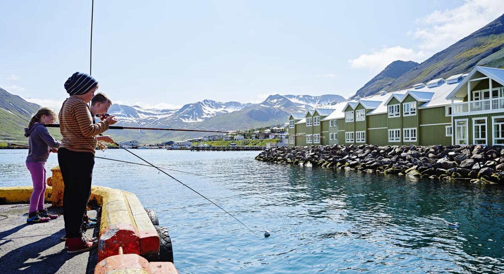 Harbour fishing