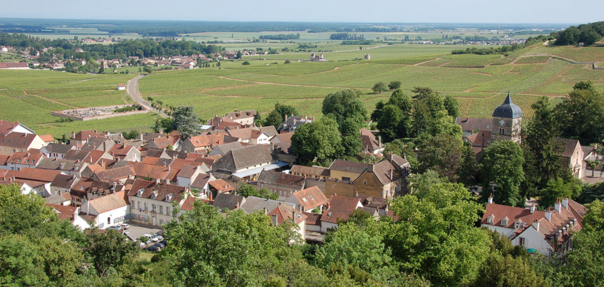 Foto von Chambolle-Musigny