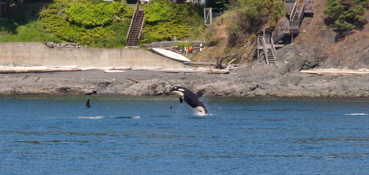 Foto von San Juan Islands