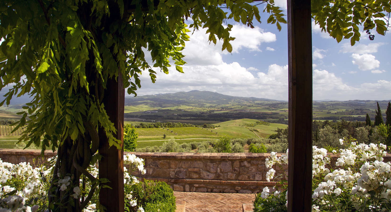 Rose Garden View