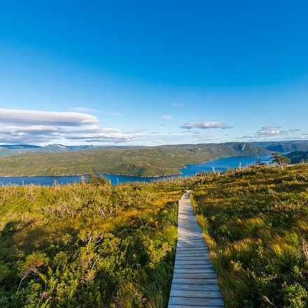 The Best Hotels for Gros Morne National Park