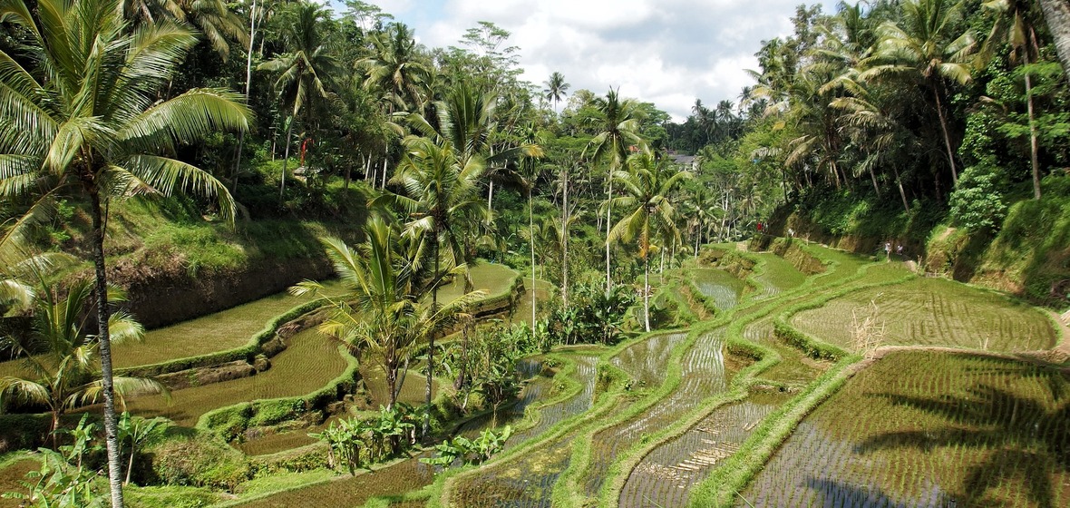 Photo of Ubud