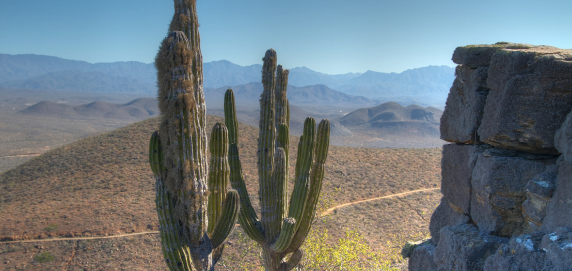 Photo of Todos Santos