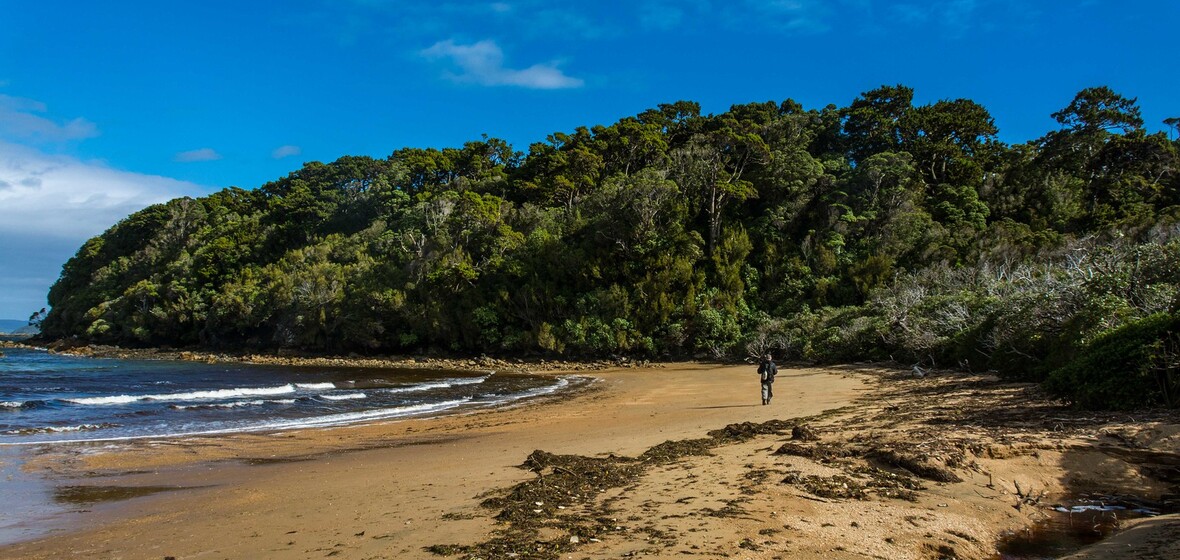 Foto von Stewart Island