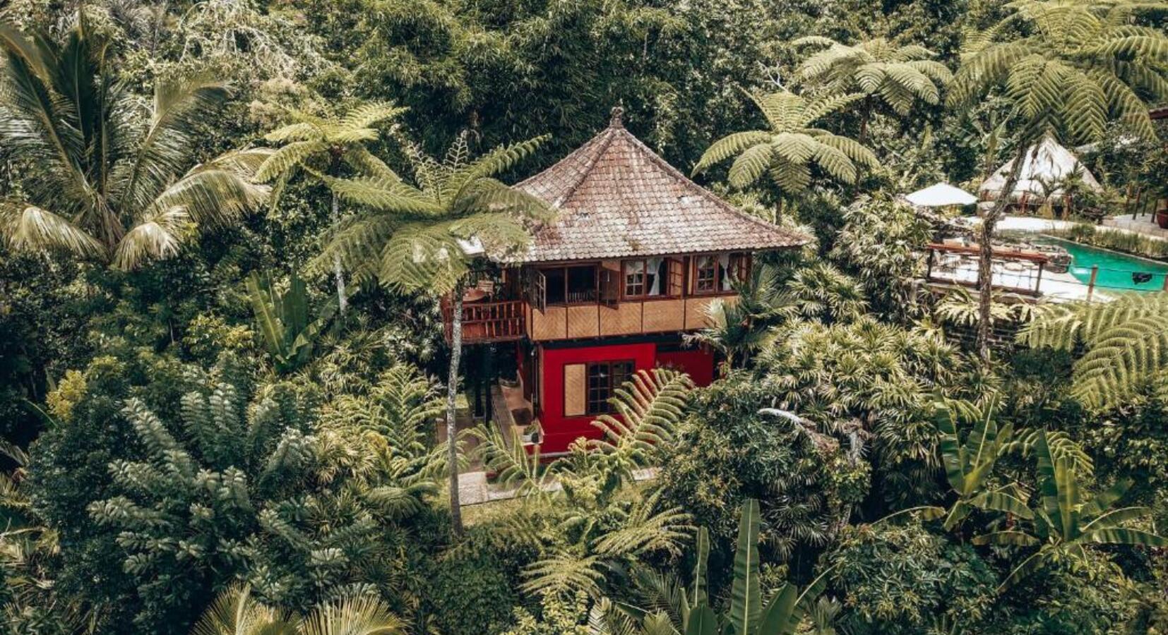 Jungle Bungalow