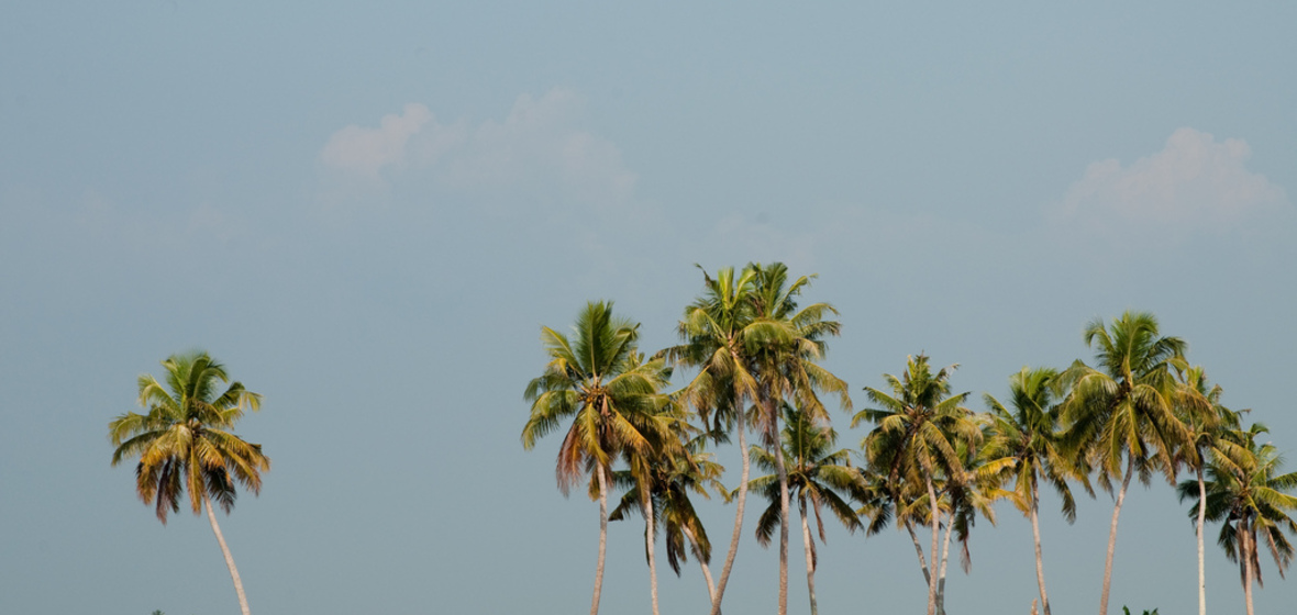 Photo of Alappuzha