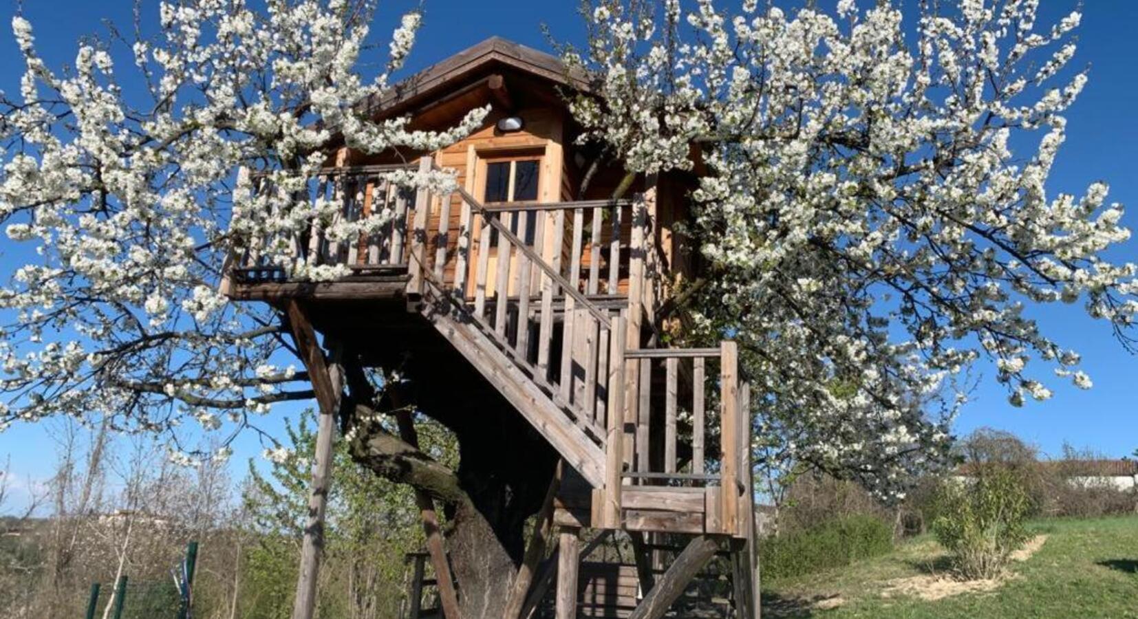 Tree House