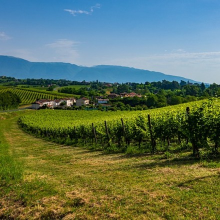 Wine hotels in Veneto