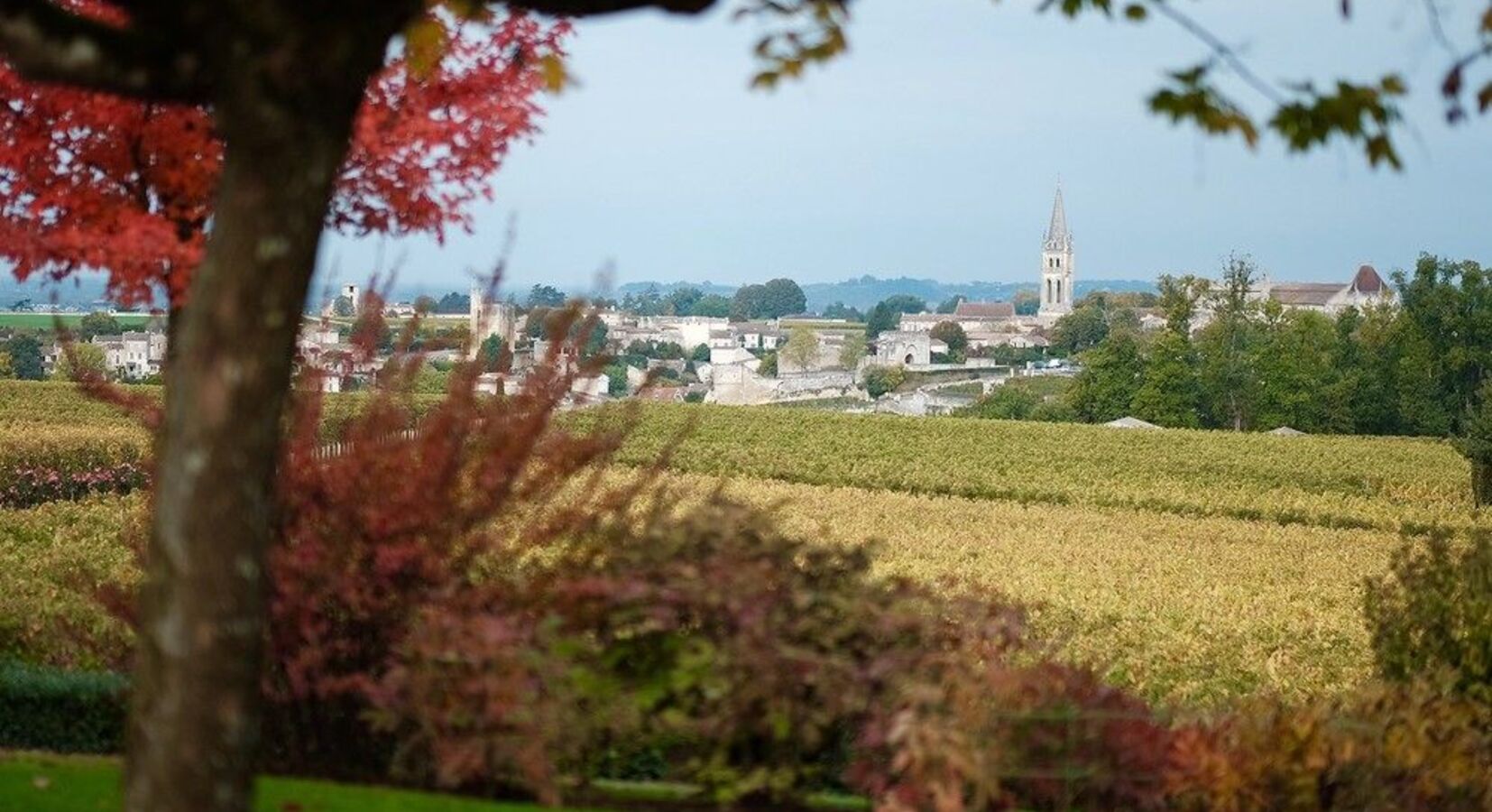 View to St Emilion