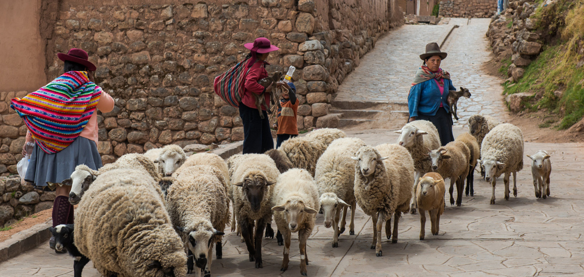 Photo of Peru