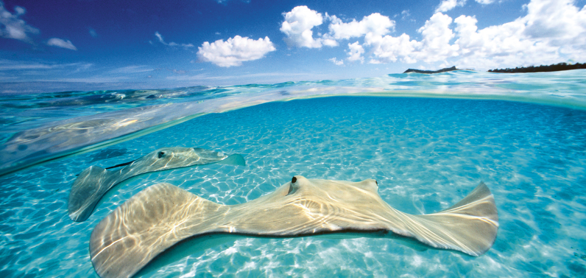 Photo de Îles Caïmans