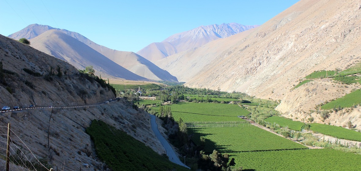 Foto von Pisco Elqui