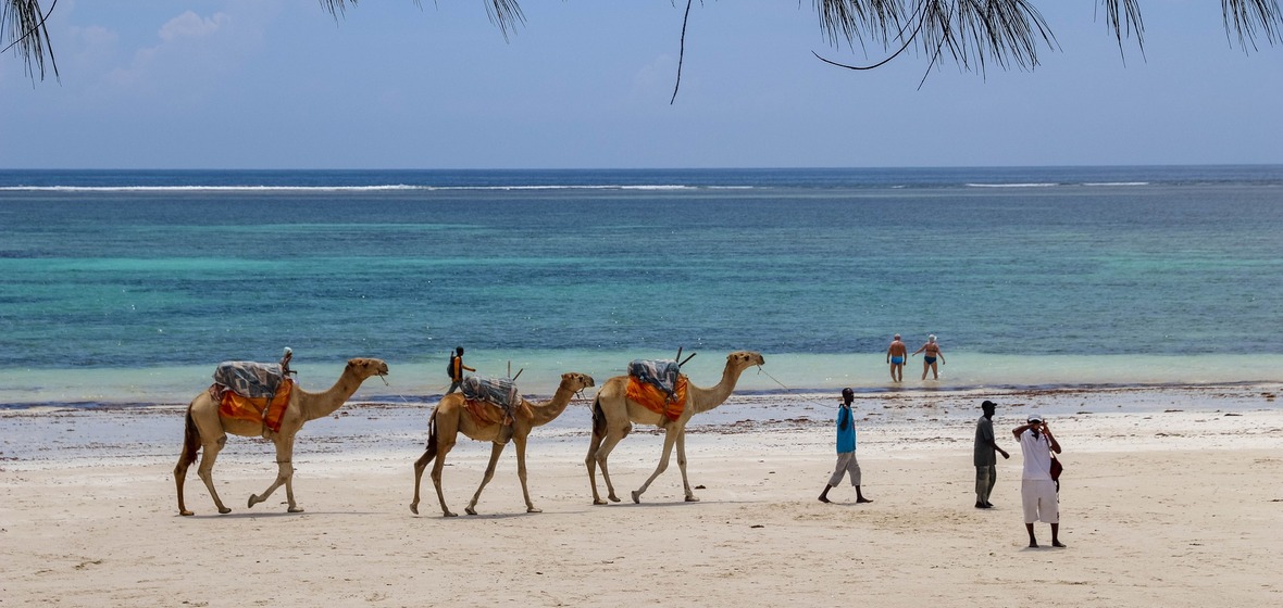 Photo de Plage de Diani