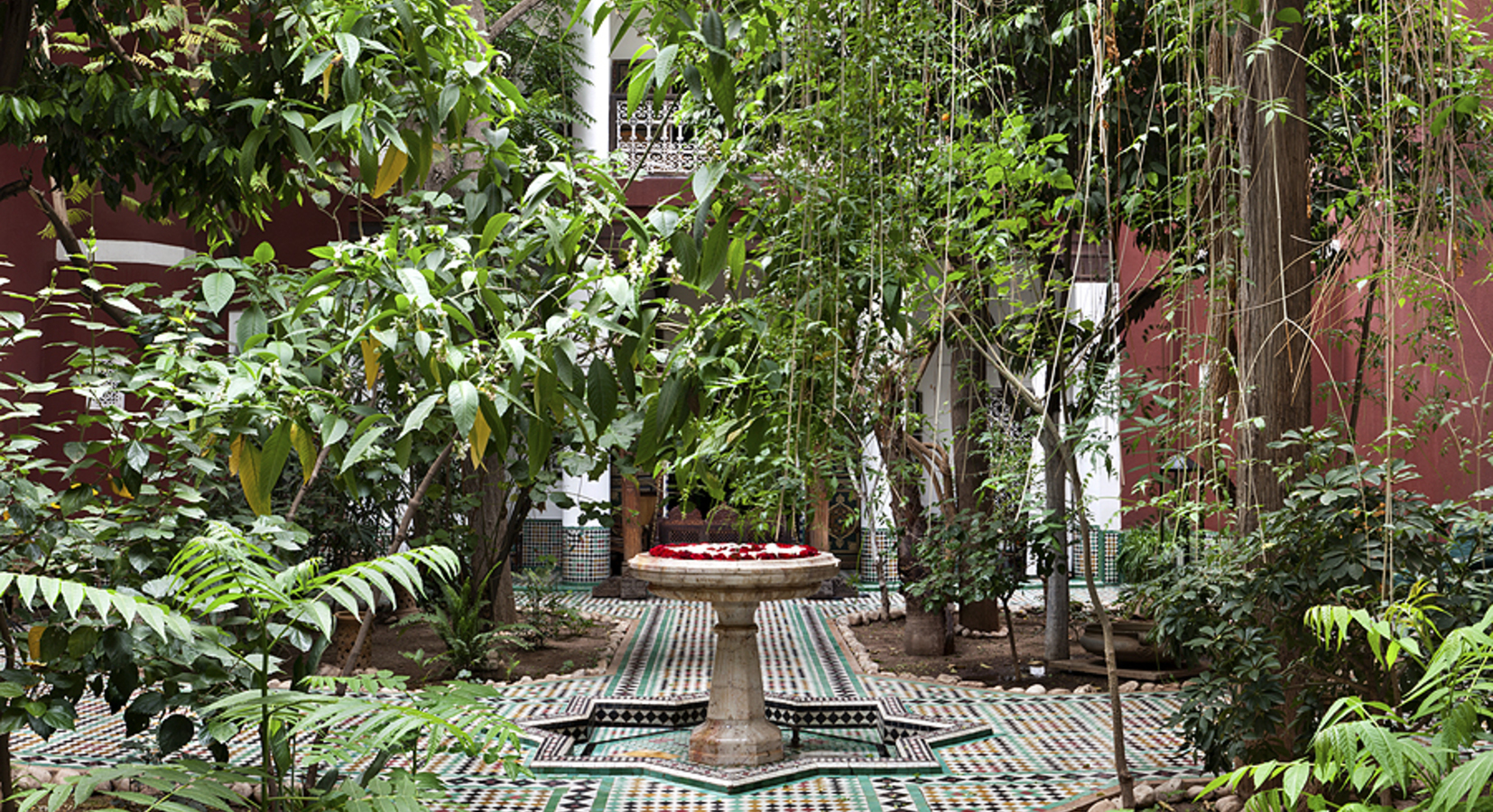 The courtyard garden