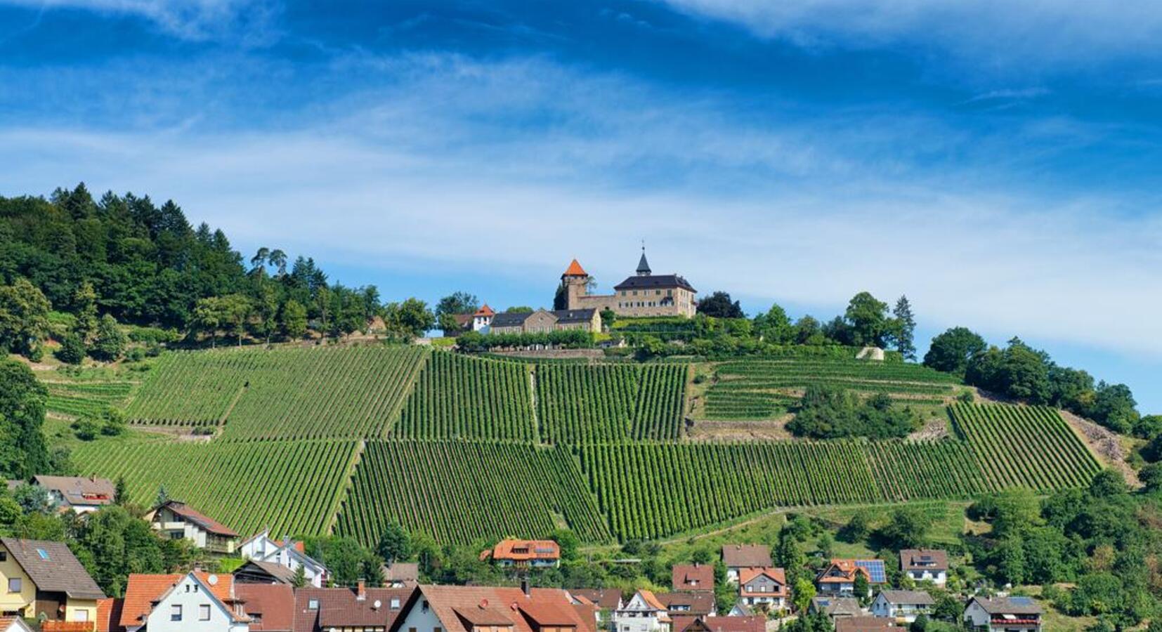 Castle and vineyard