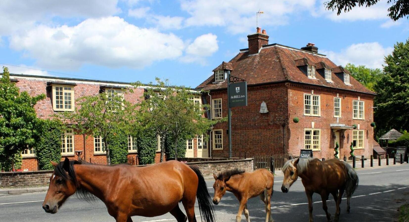 Photo of The Bell Inn, Hampshire