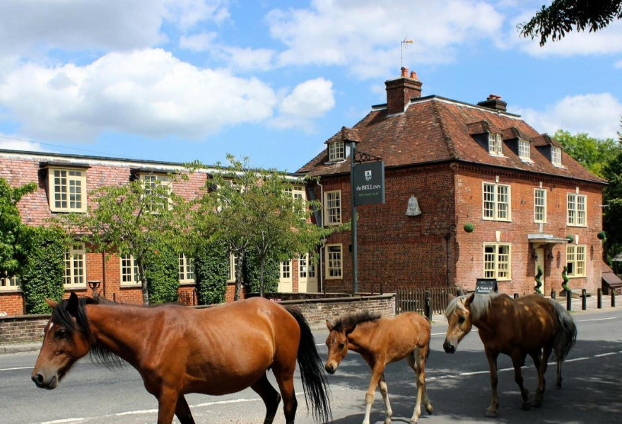 The Bell Inn, Hampshire