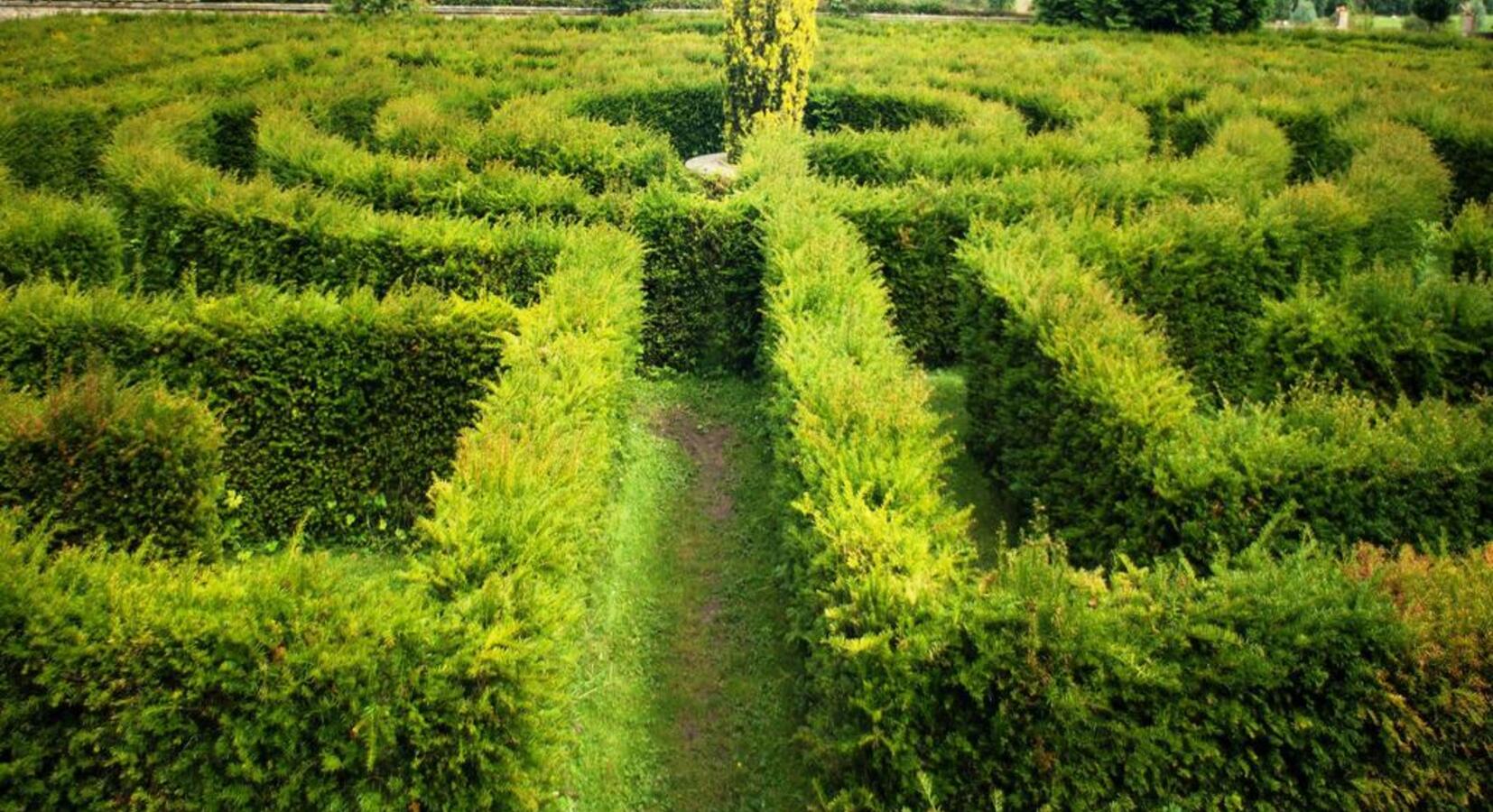 Maze.