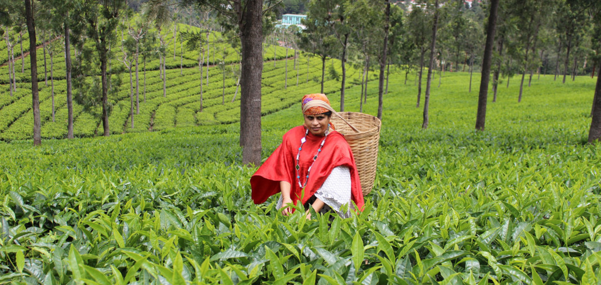 Foto von Coonoor