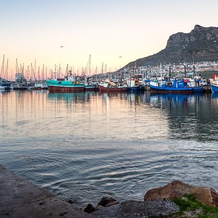 Die 5 besten Hotels in Hout Bay