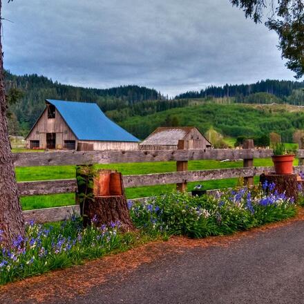 The 8 Best Hotels for Olympic National Park