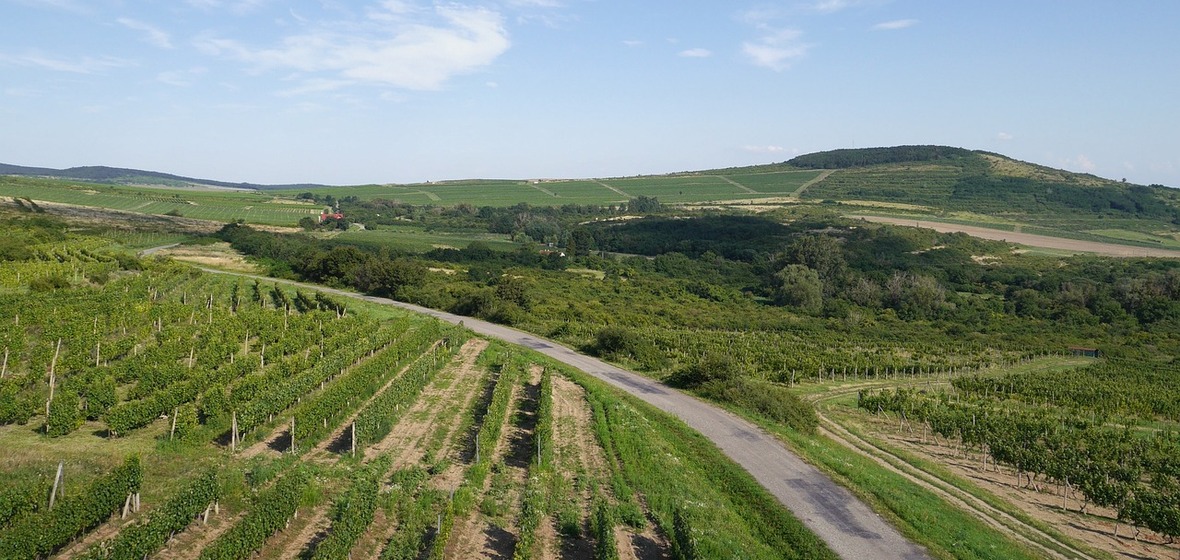 Photo of Tokaj