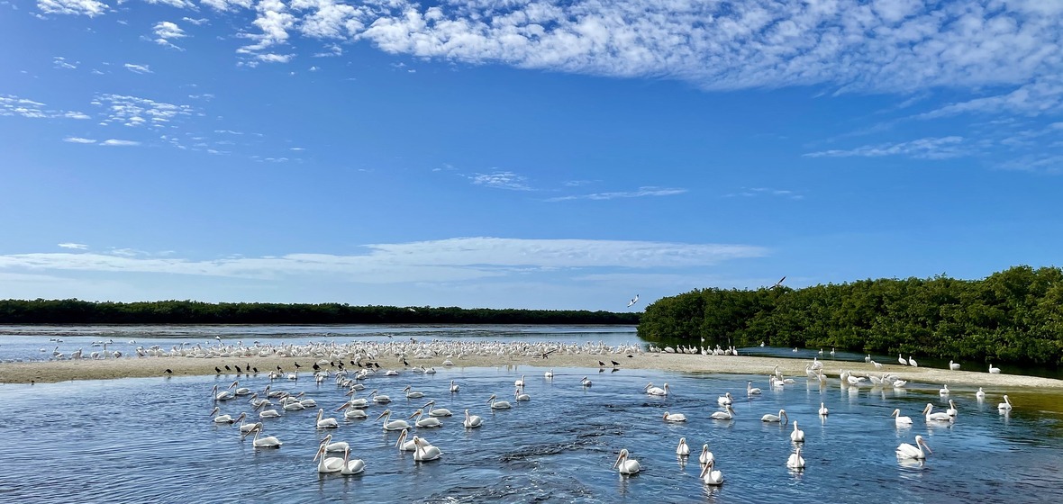 Photo de Île de Sanibel