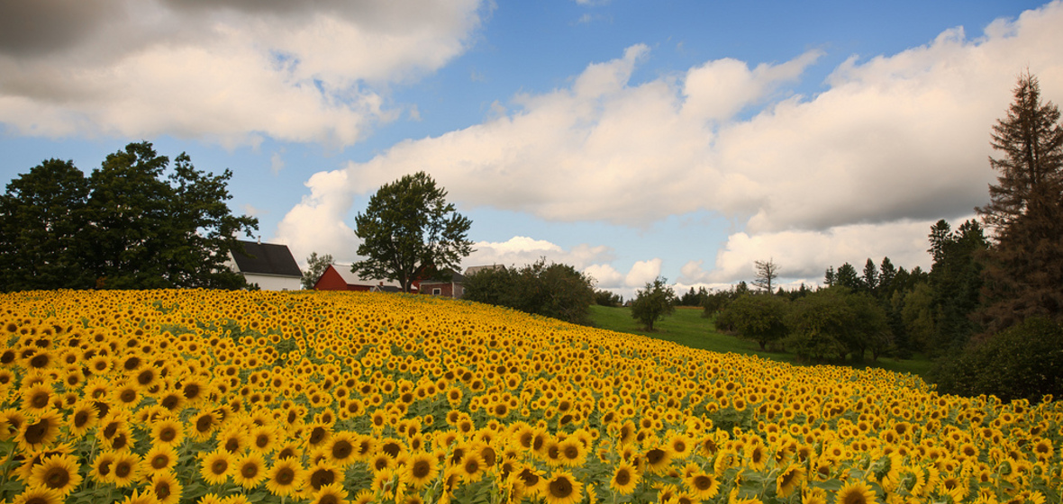 Photo of New Brunswick