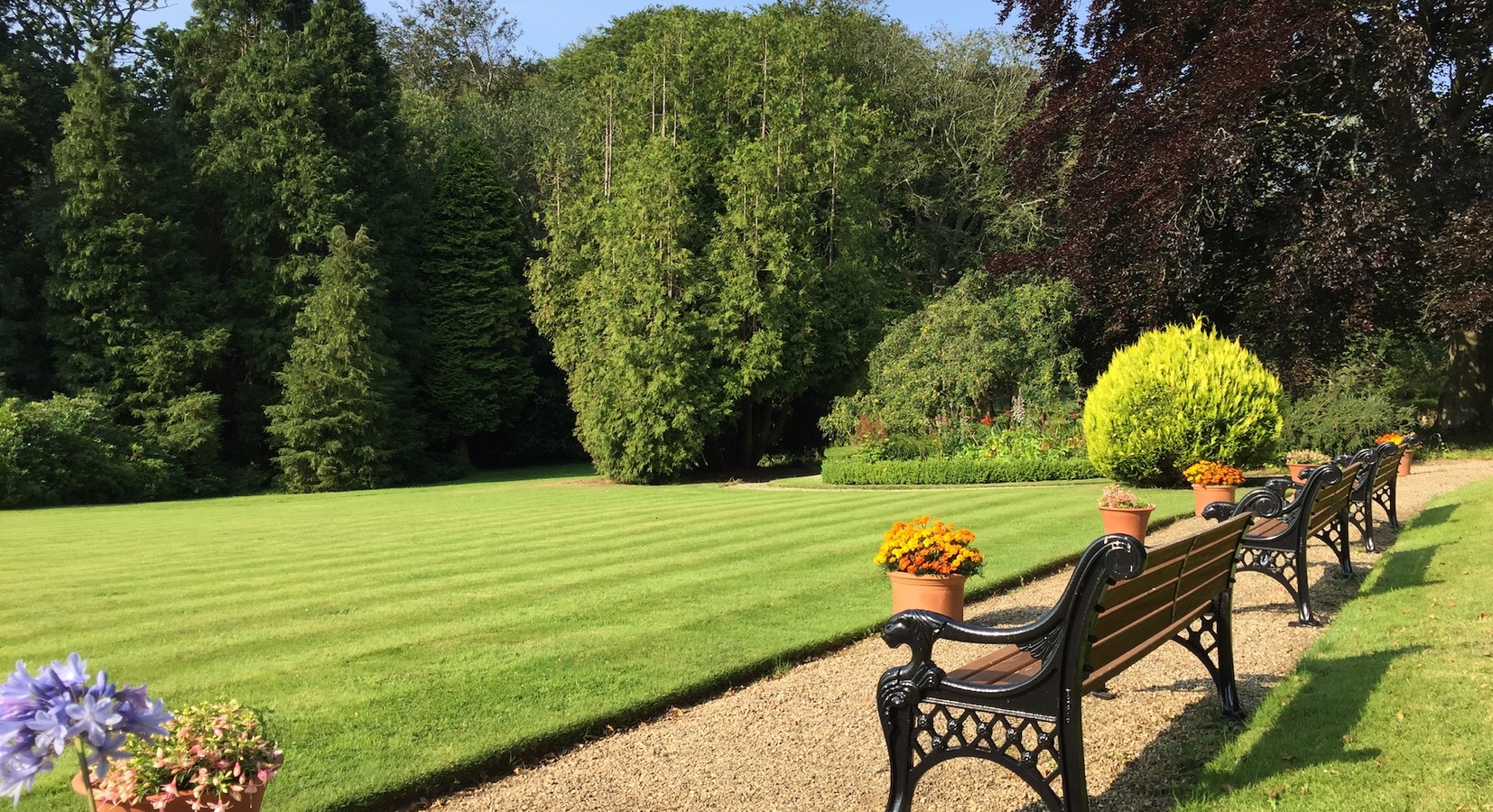 Garden benches overlooking gardens and woods